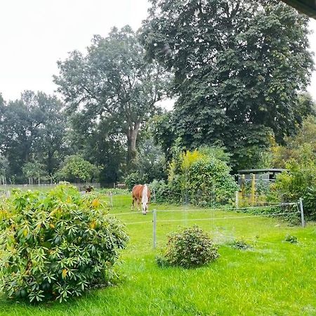 Urlaub In Unserem „Kleinen Haus“ Nindorf  Exteriér fotografie